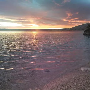 Agave , Stara Baška Kroatien